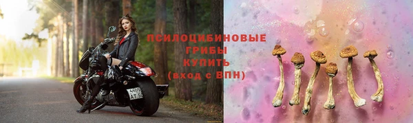 сатива Семикаракорск